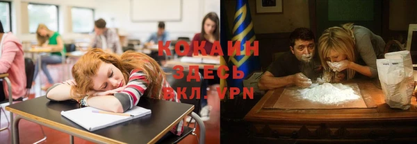 первитин Михайлов