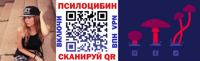 OMG рабочий сайт  Еманжелинск  Галлюциногенные грибы Psilocybine cubensis 