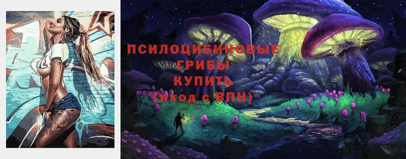 купить   нарко площадка клад  Галлюциногенные грибы Psilocybe  Еманжелинск 